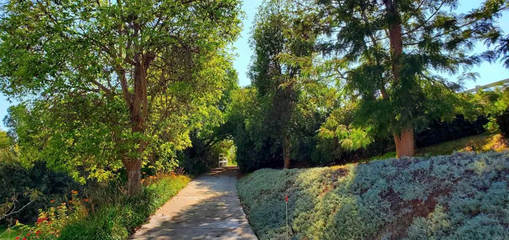 2891 Los Alisos Drive, Fallbrook, California 92028