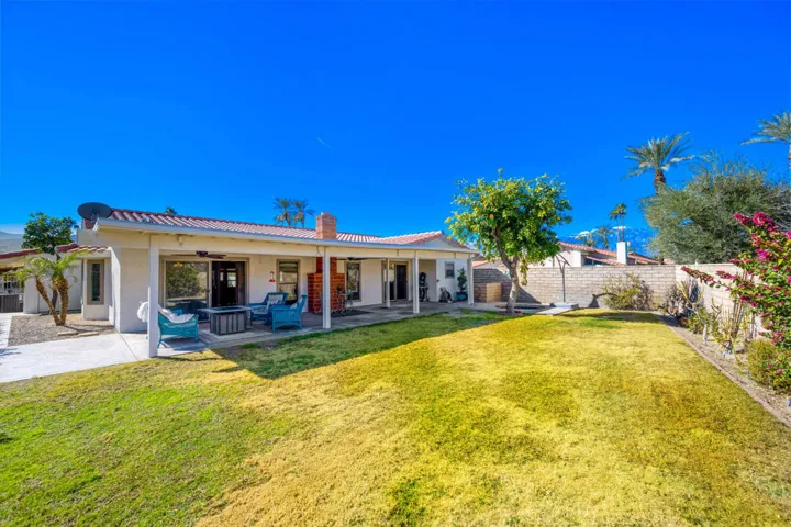 Large Grassy Backyard