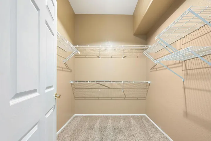 Great Clset in Primary Suite