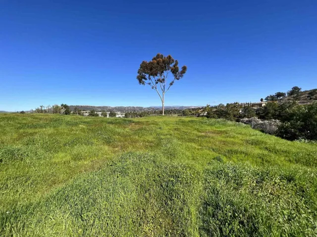 127 Walnut Hills Dr, San Marcos, California 92078