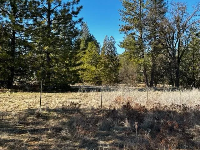 0 Dogtown Road, Coulterville, California 95311