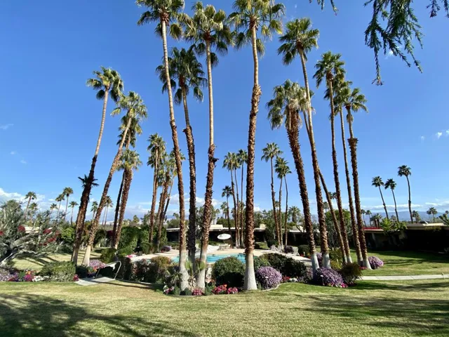 Patio View