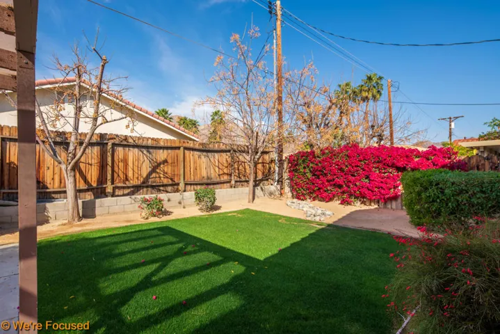 Vallejo backyard 1
