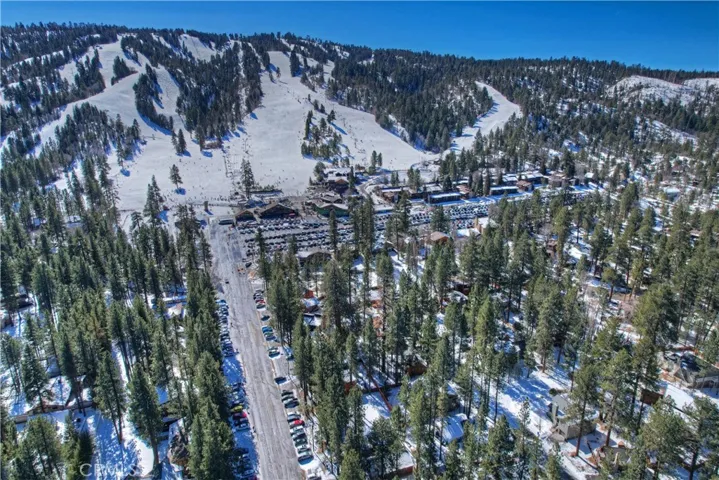 738 Golden West Drive, Big Bear Lake, California 92315