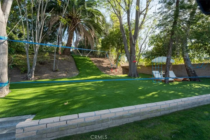 The artificial turf slope in the background is the perfect kiddie sledding hill - SoCal style.