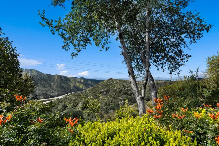 7024 Charrick Pl-37