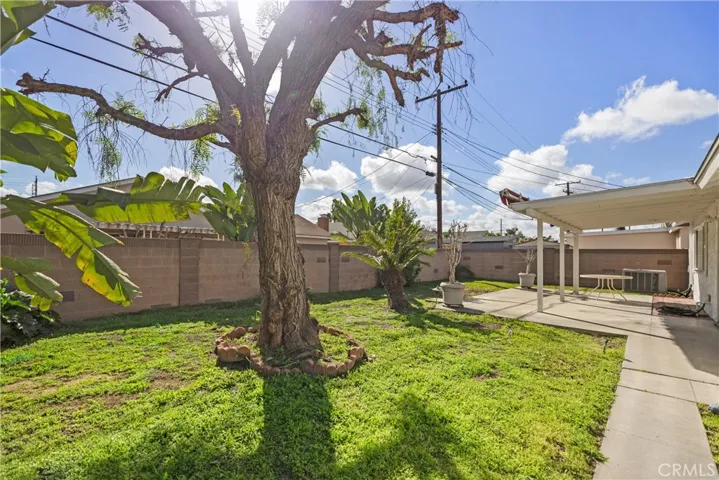 Large Backyard with mature tree, block wall fencing for added privacy & covered patio