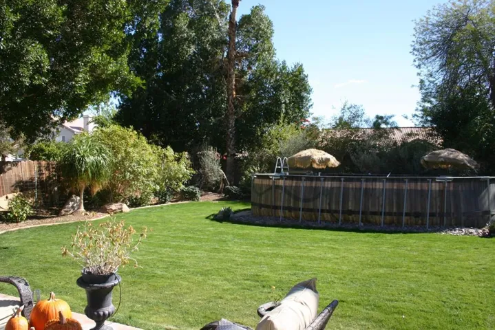 RLbackyard1A