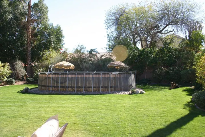 RLbackyard1