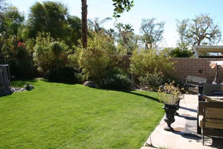 RLbackyard