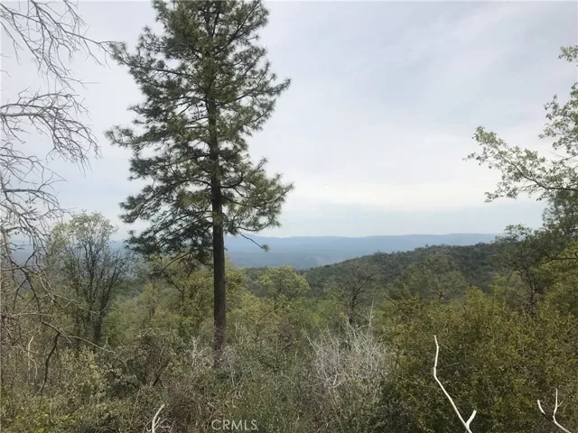 25 Paddy Hill, Mariposa, California 95338