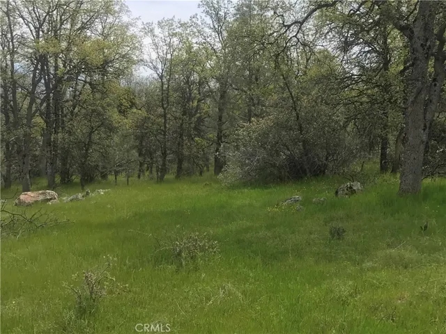 25 Paddy Hill, Mariposa, California 95338