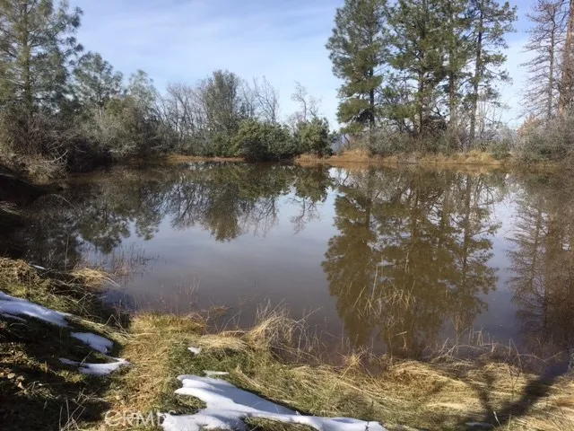 Wintertime at the Pond located on the adjacent 40 acre BLM Parcel.