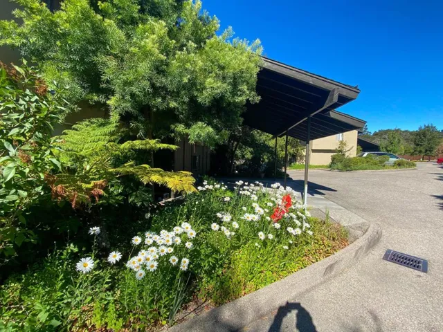20 Esquiline Road, Carmel Valley, California 93924