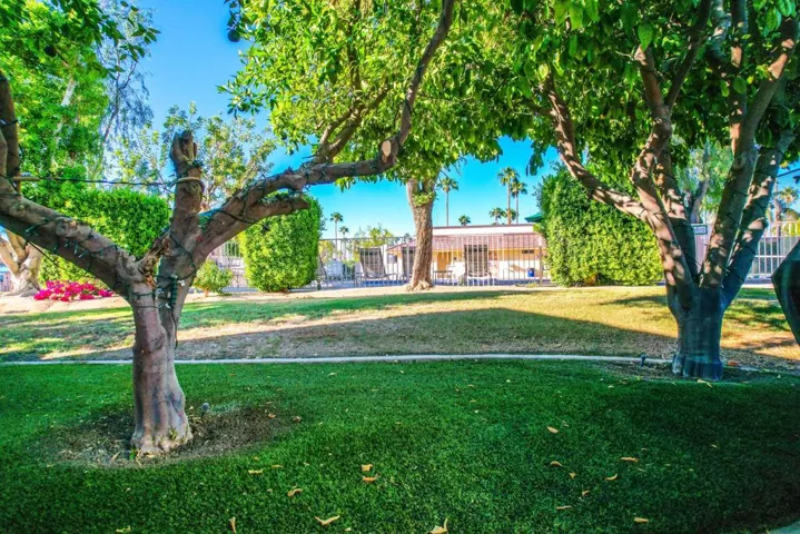 Lot 405 (13)