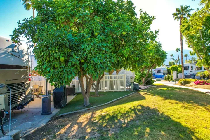 Lot 405 (16)