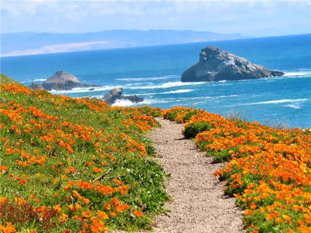 Hiking at Montana Del Oro
