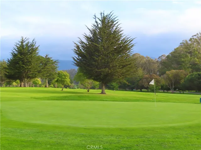 Putting on the Green