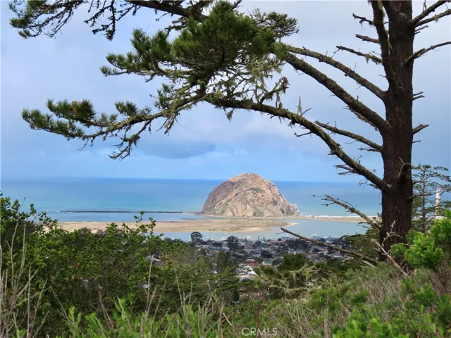 View of the City & Morro Rock from the Black Hill Trail