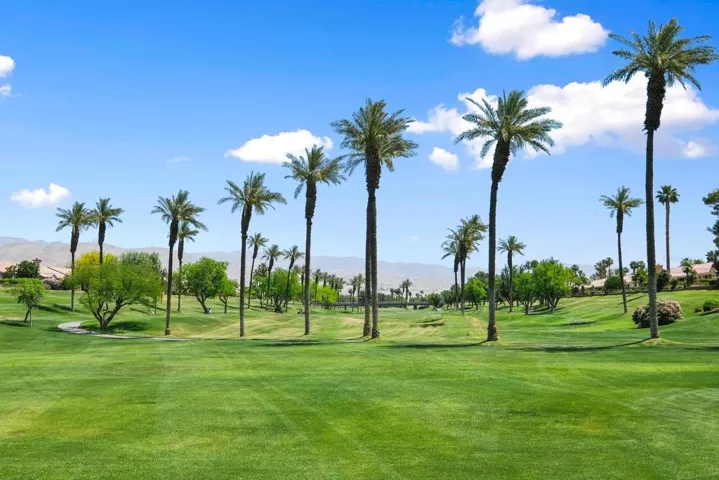 Sun City Photos-31