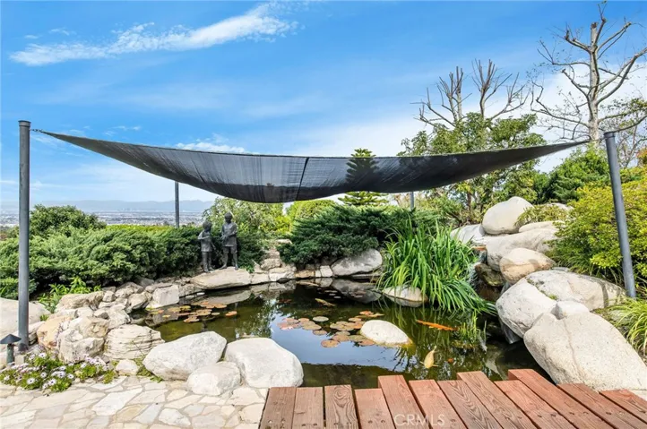 Close up view of the koi pond