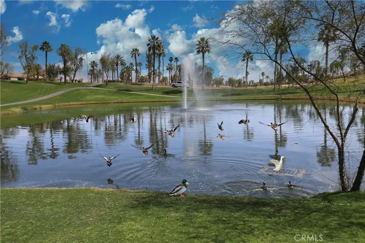 80534 Camino Santa Elise, Indio, California 92203