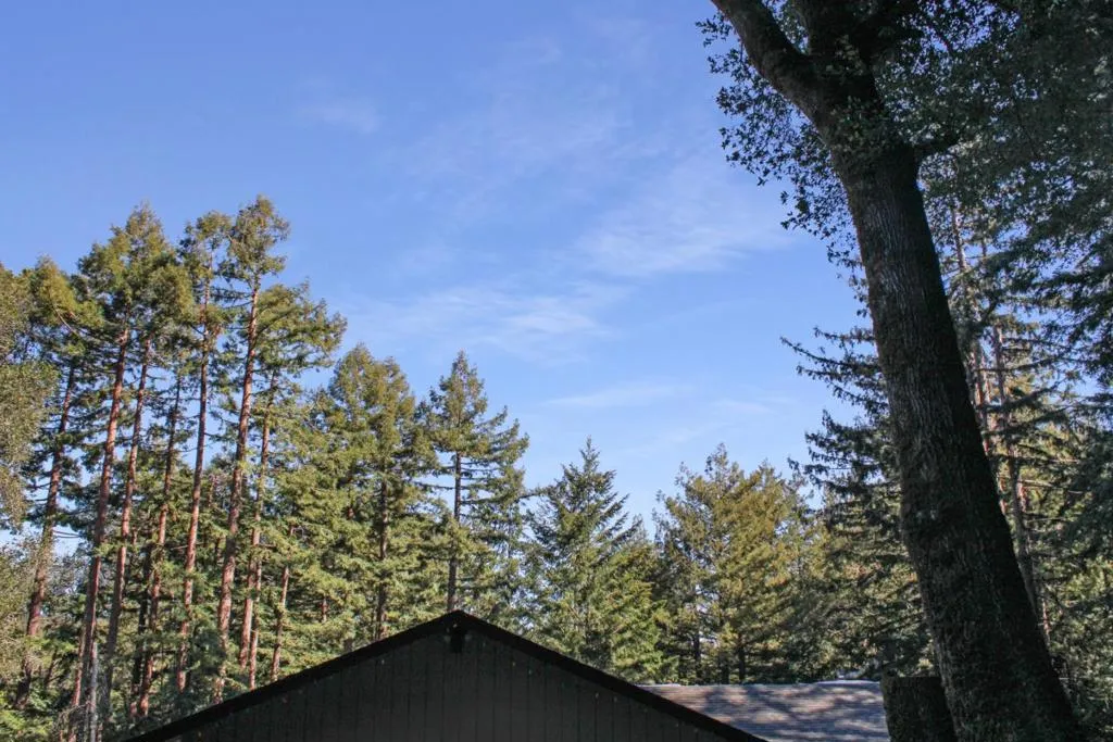 1940 Waterman Gap Loop, California home-pic-3