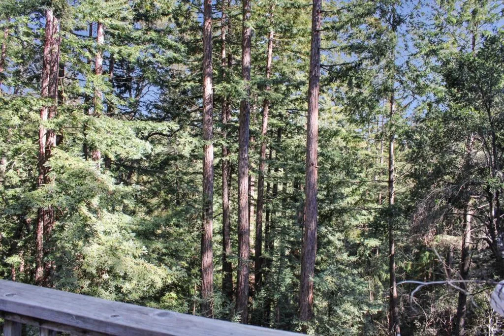 1940 Waterman Gap Loop, California home-pic-7