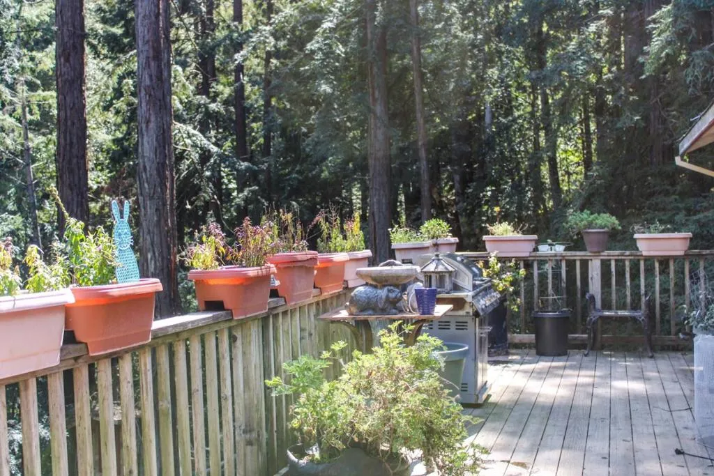 1940 Waterman Gap Loop, California home-pic-9