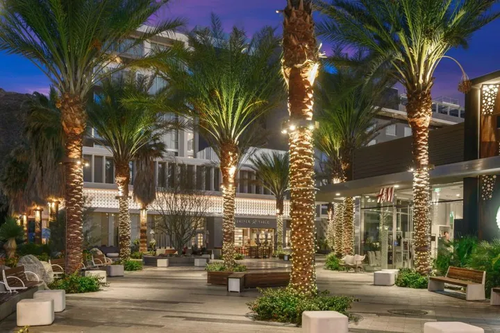 55-web-or-mls-Palm Springs (7)