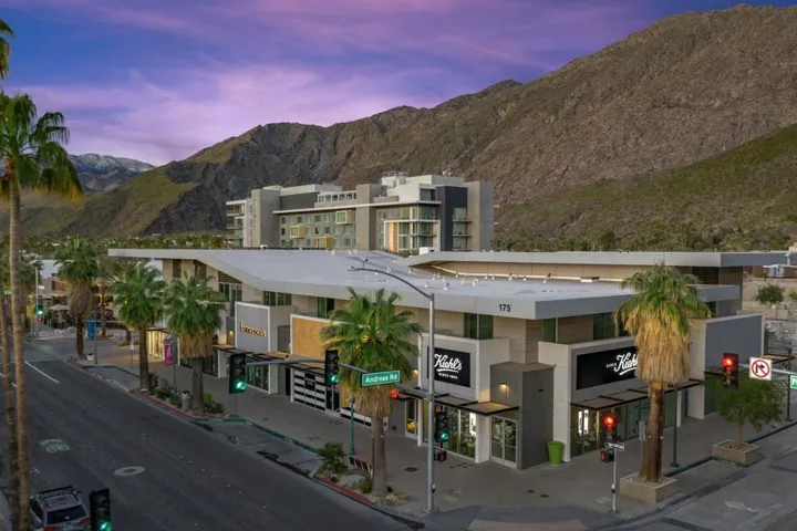 48-web-or-mls-Palm Springs (1)