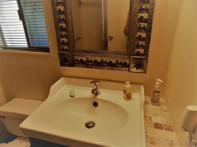1010 Palm Canyon Drive Unit 171, Borrego Springs, California 92004