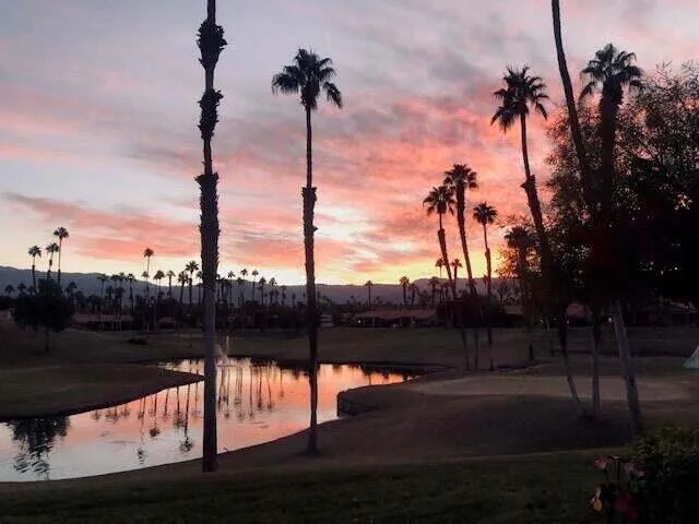 pic1