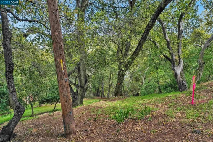 103 Castlewood, Pleasanton, California 94566