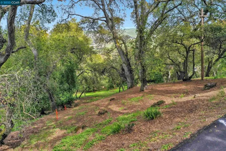 103 Castlewood, Pleasanton, California 94566