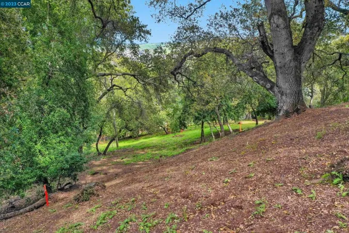103 Castlewood, Pleasanton, California 94566