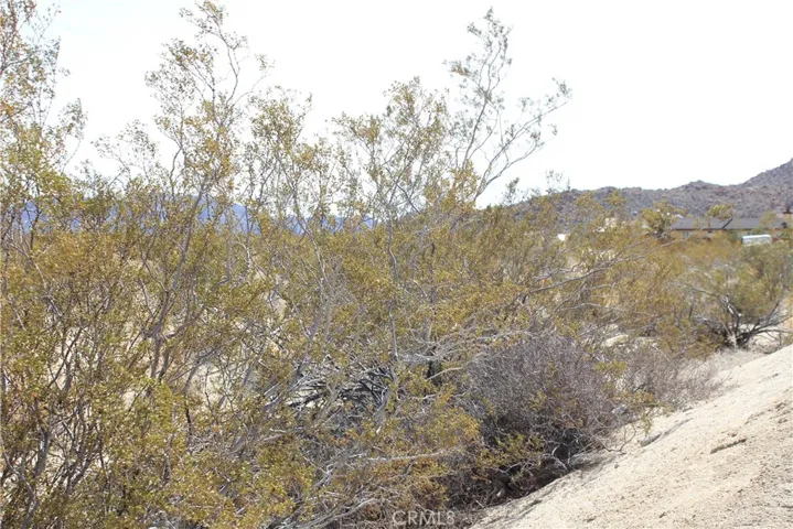 6677 Peterson Road, 29 Palms, California 92277