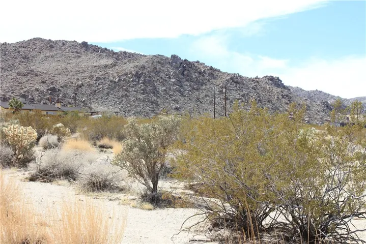 6677 Peterson Road, 29 Palms, California 92277