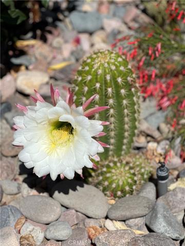 273 Bouquet Canyon Drive, Palm Desert, California 92211