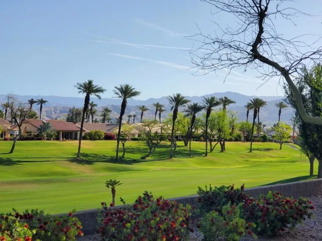 mountain view from Willowrich property_s