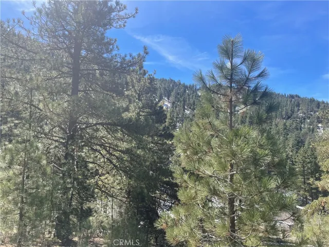 Blue skies and glistening pines.