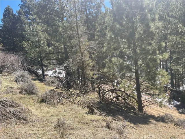 A little snow left over and the scent of pine let you know you are in the mountains.