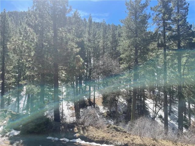 Looking to the mountain in front. This the view from the lot.