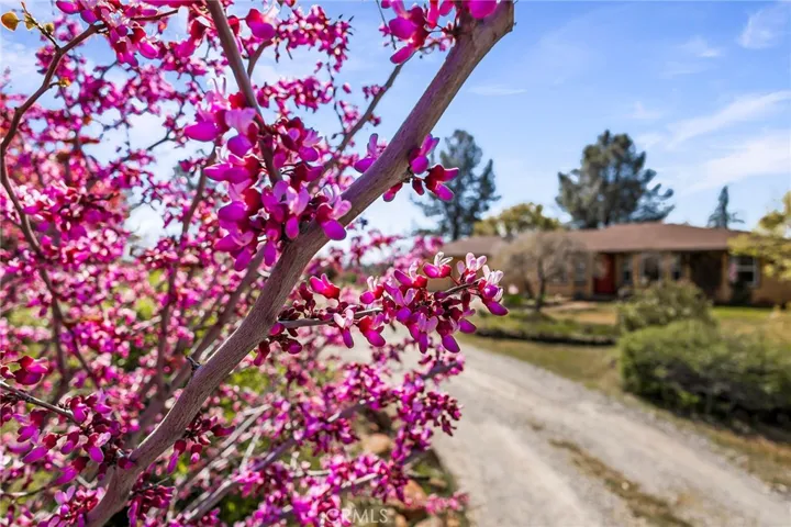 4541 Wilder Drive, Chico, California 95928