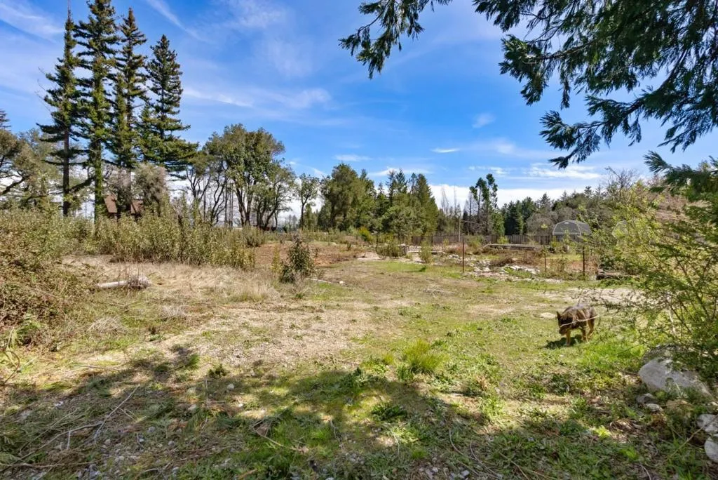 335 Braemoor Drive, Santa Cruz, California 95060 home-pic-29