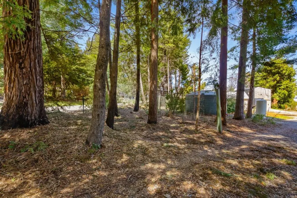 335 Braemoor Drive, Santa Cruz, California 95060 home-pic-31