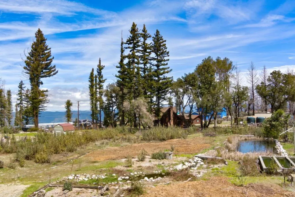 335 Braemoor Drive, Santa Cruz, California 95060 home-pic-1