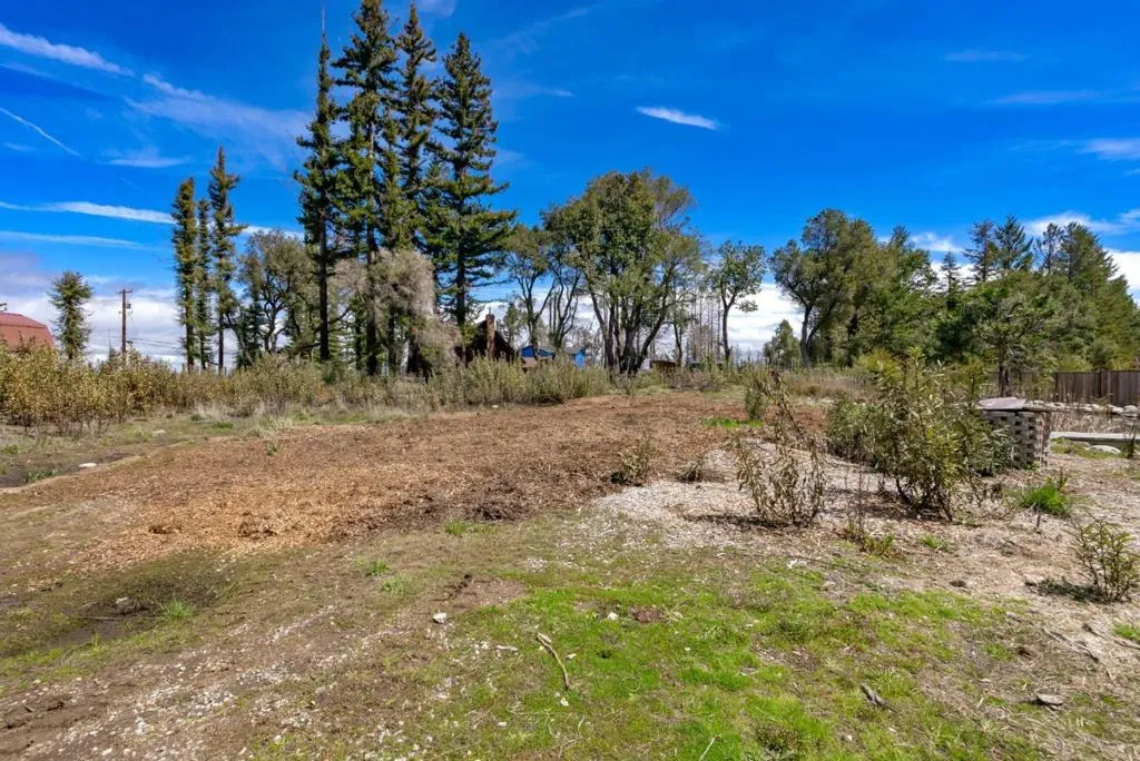335 Braemoor Drive, Santa Cruz, California 95060 home-pic-7
