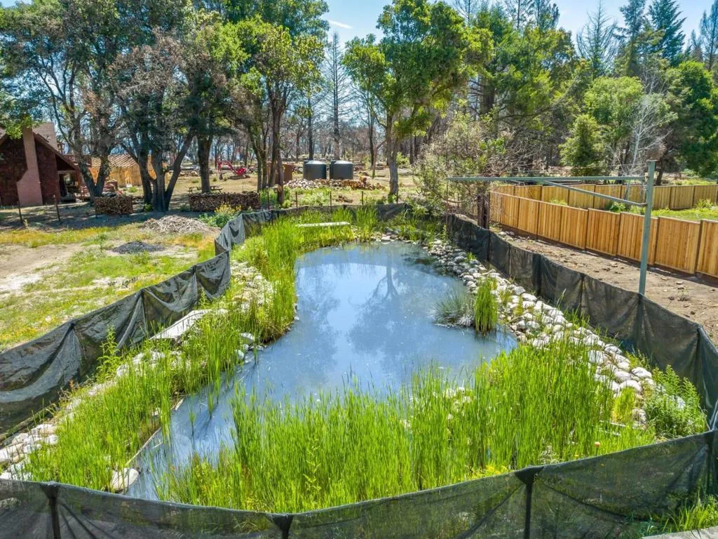 335 Braemoor Drive, Santa Cruz, California 95060 home-pic-46