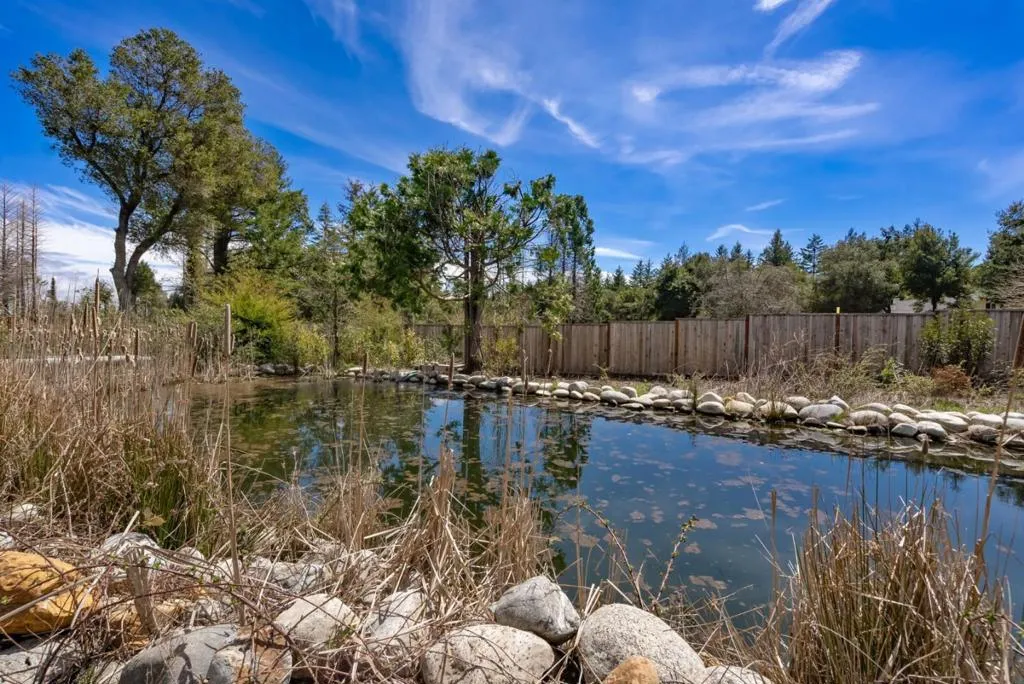 335 Braemoor Drive, Santa Cruz, California 95060 home-pic-0